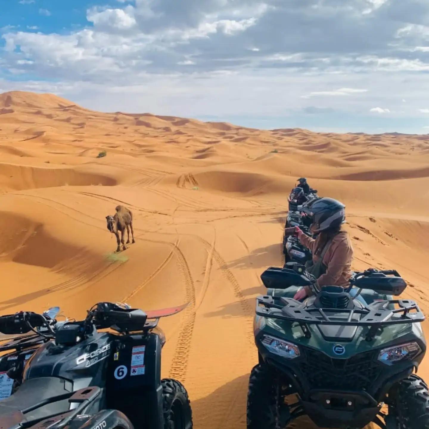 Raid Quad 5 Jours : Zagora, Chegaga et Agafay — photo 5
