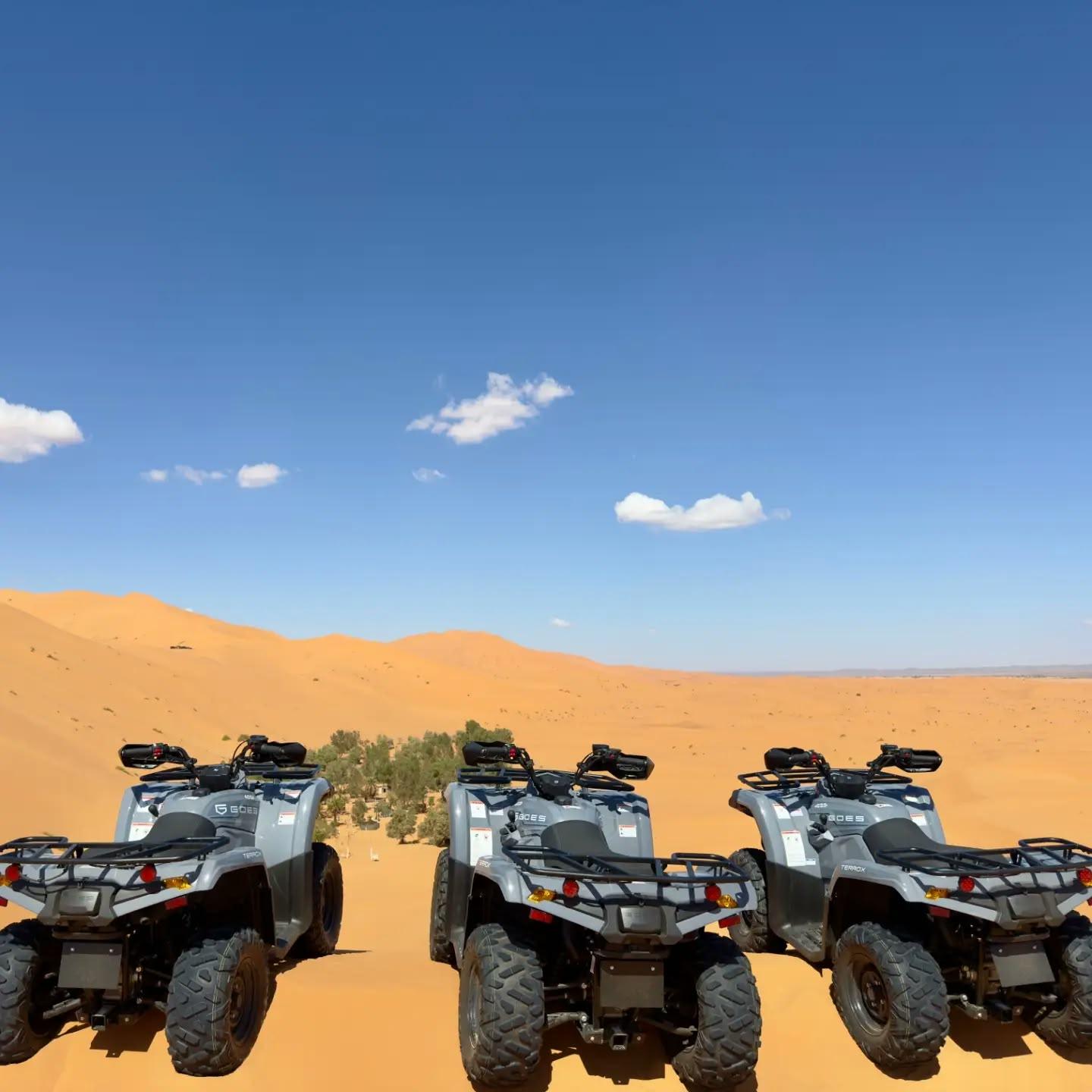 Raid Quad 5 Jours : Zagora, Chegaga et Agafay — photo 8